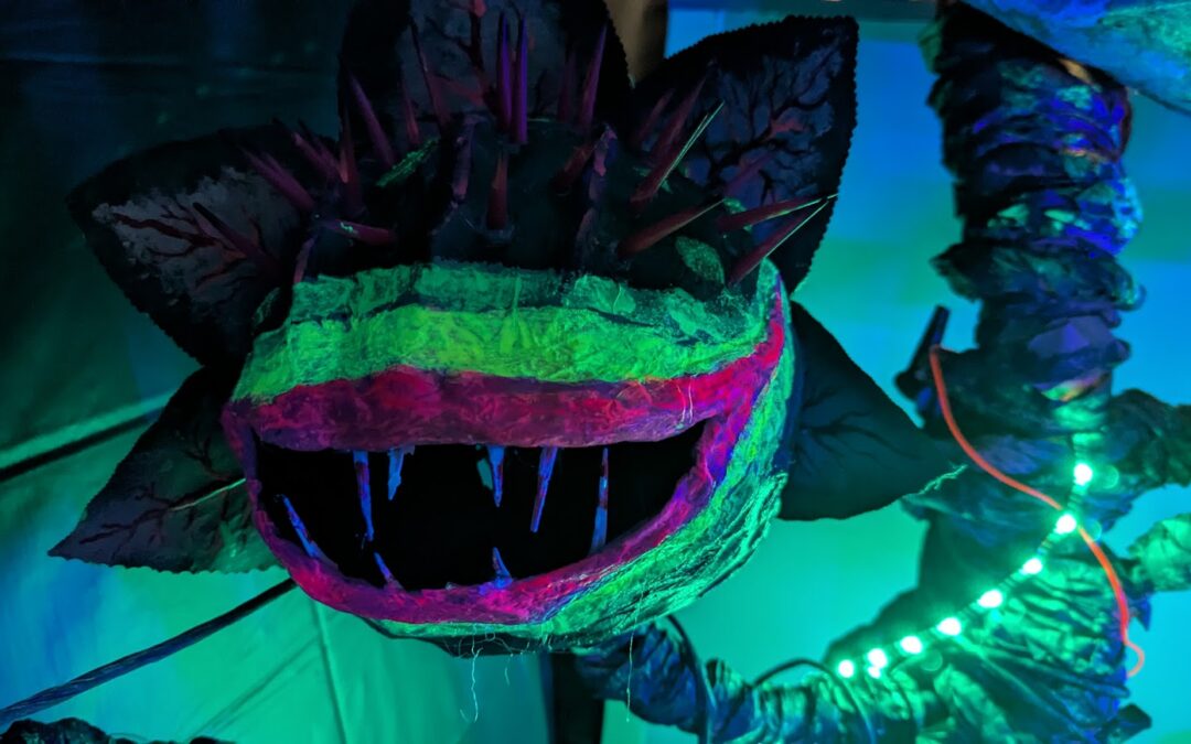 Aspire of WNY Launches Into Trimania!